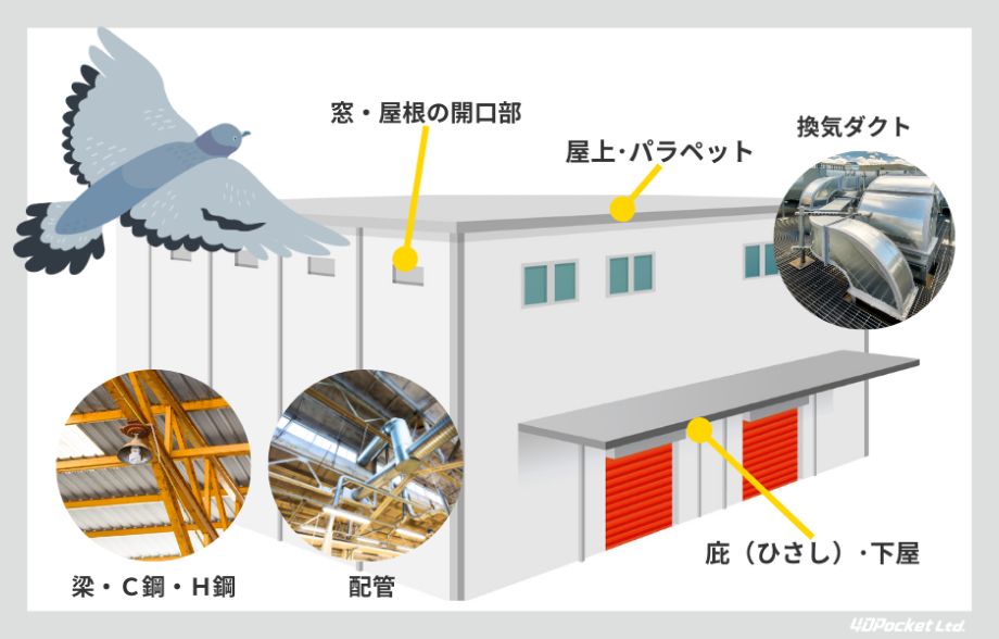 被害場所