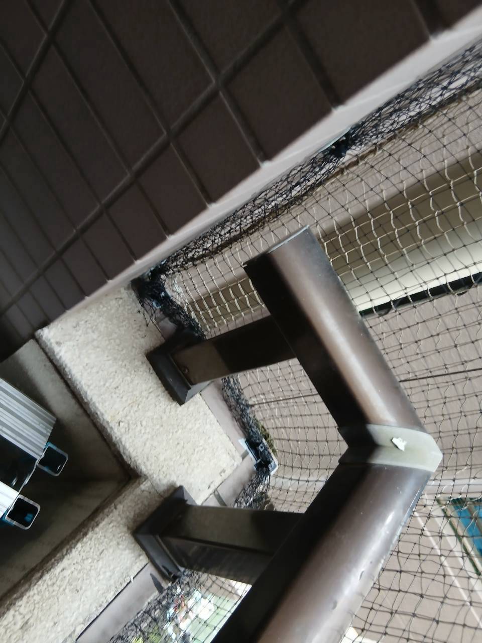 手すりと壁の形状に合わせて設置した防鳥ネット