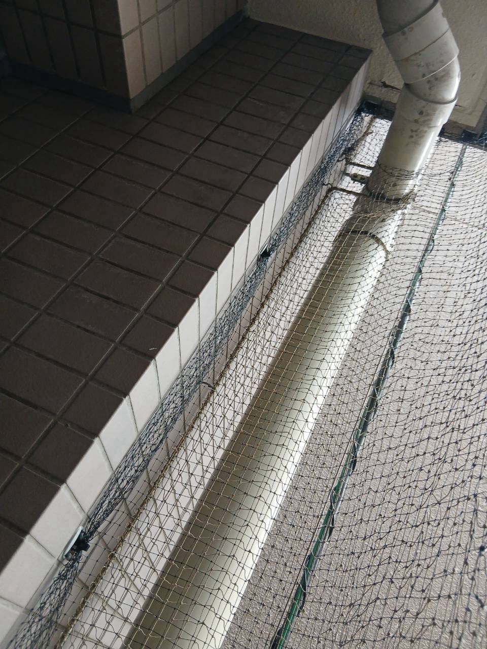 ベランダの天井際と配管まわりに納めた防鳥ネット