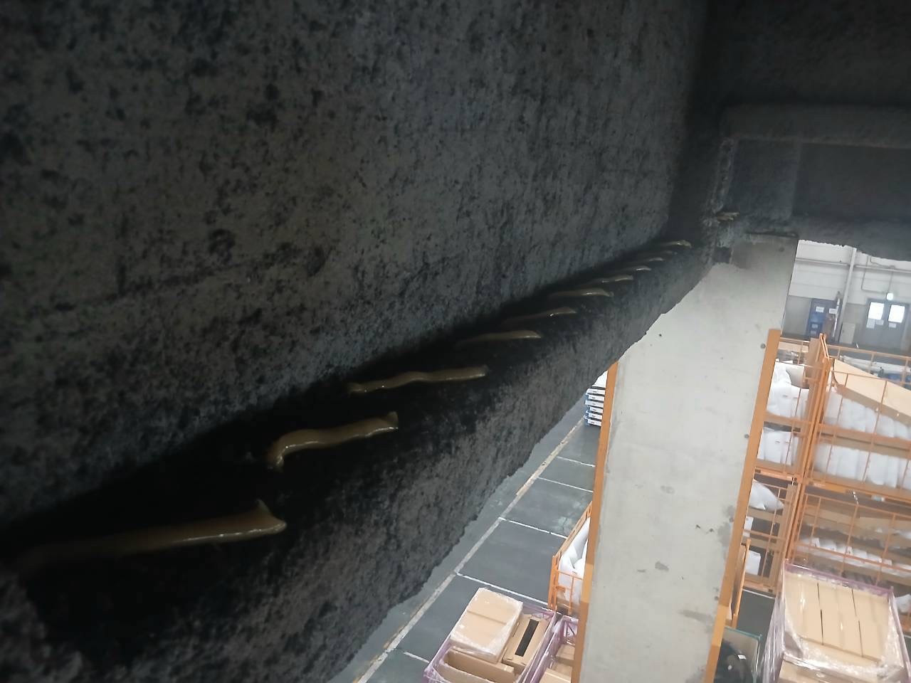 ラック上方の梁に施工した忌避剤